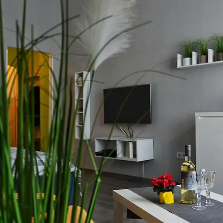 布达佩斯中央公寓 *