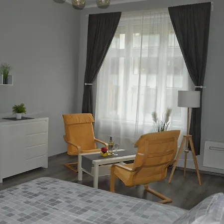 布达佩斯中央公寓 *