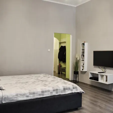 Apartament Central *