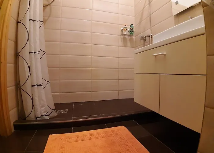 Apartament Central *